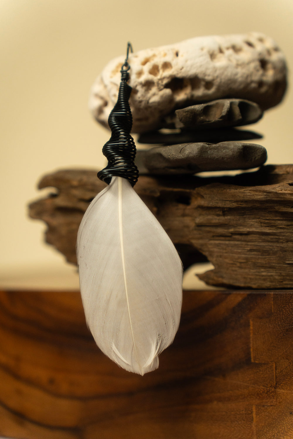 Corazón del Pacifico