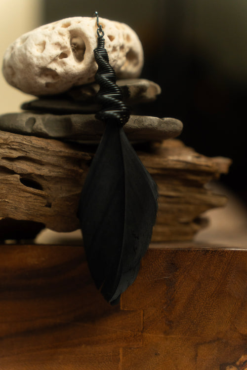 Corazón del Pacifico